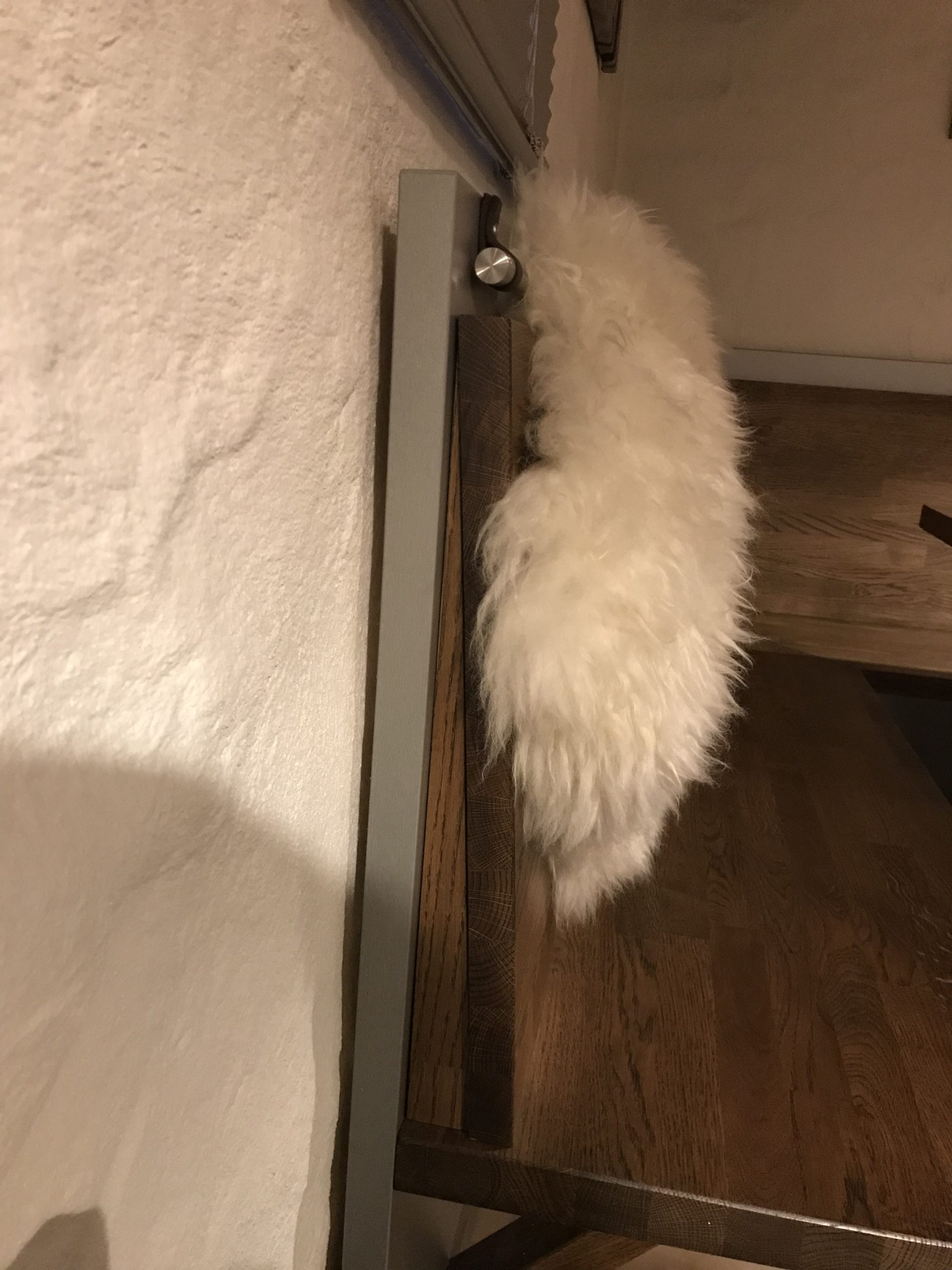 Detail der Eckbank: Rückenlehne und Befestigung aus Metall